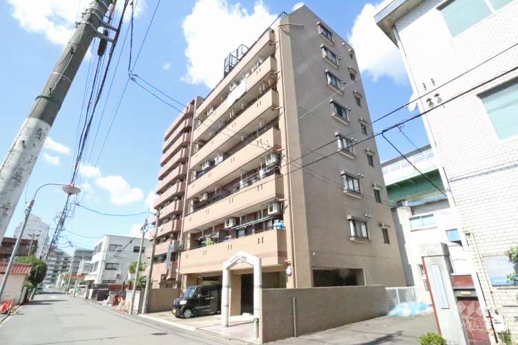 ニューグリーン鳥見