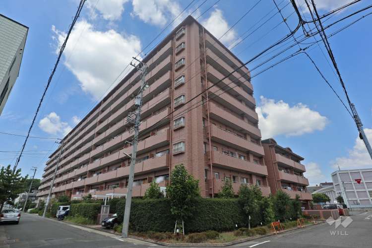 ライオンズガーデン南堀越