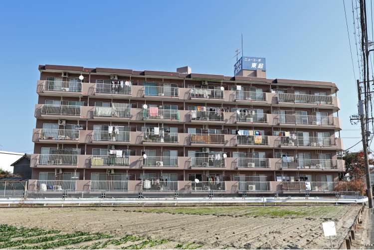 ニューコーポ東起