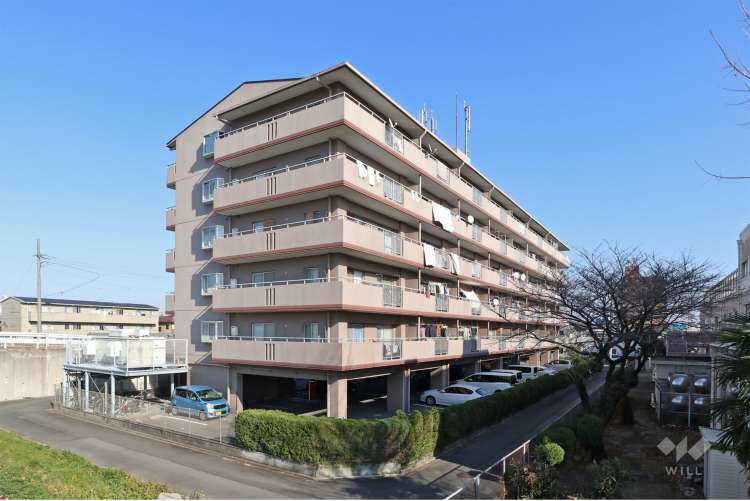 ラビデンス万場