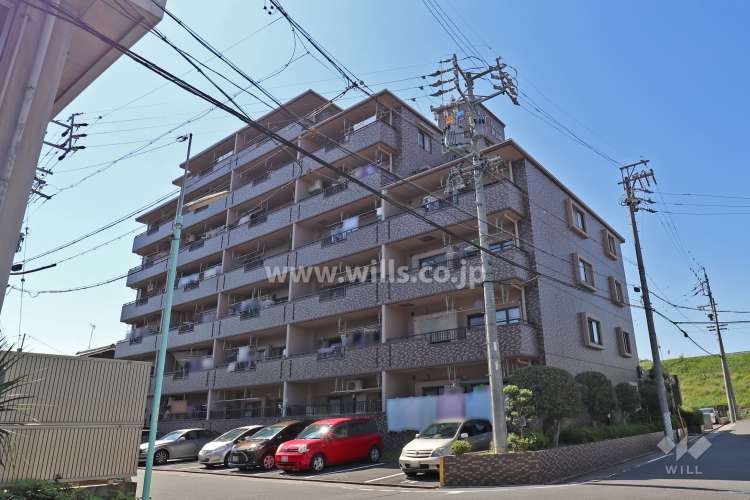 レインボー新富町