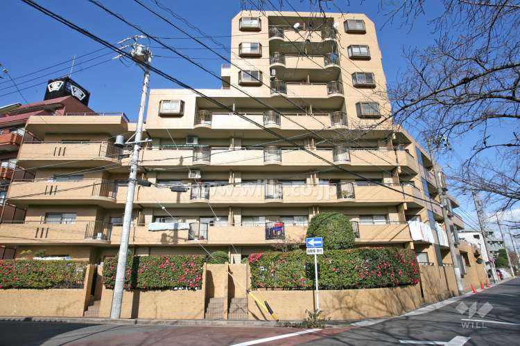 ラビデンス植田原