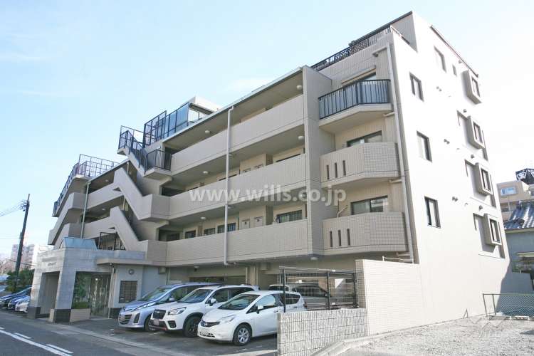 ルイシャトレ原