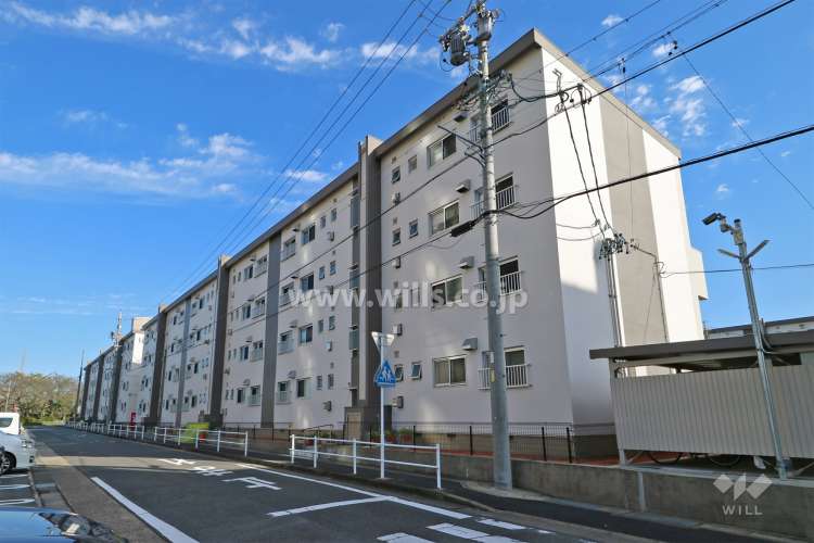 天白第一住宅7号棟