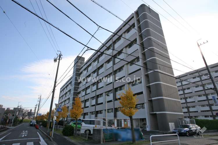 天白第三住宅1号棟