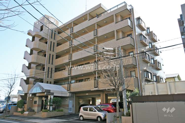 ライオンズマンション中平