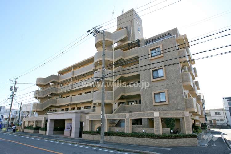 ネオハイツ野並