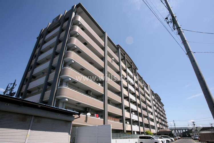 バンベールラフィネ道徳