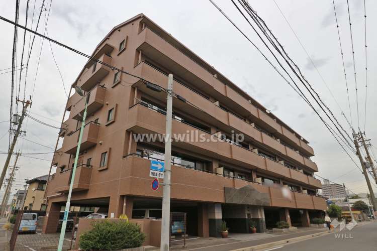 ソフィア日比野