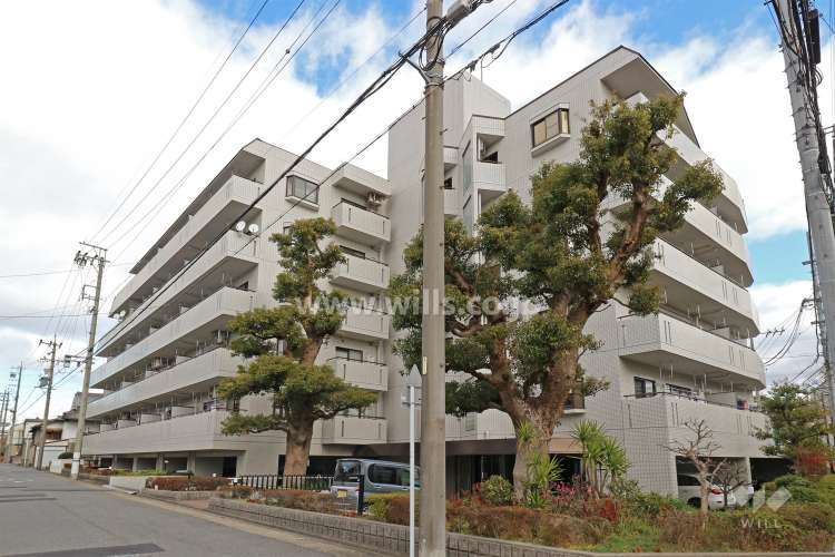 レールシティ白鳥