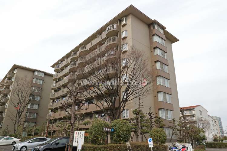 神宮東パークハイツ20号棟