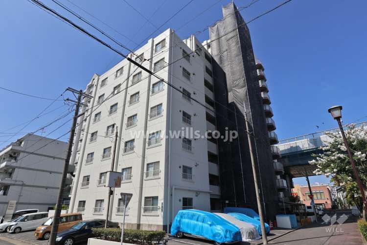 コドミニオン鳩岡