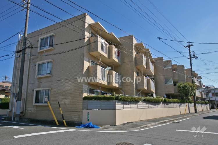 キングスコート太子