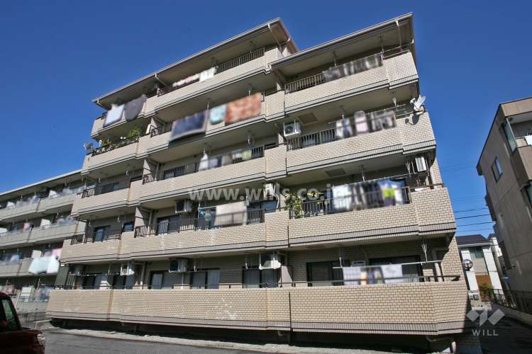 レインボー鳴海