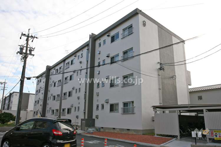 天白第一住宅9号棟