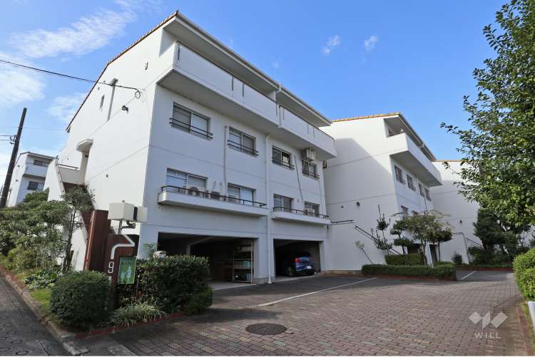 タウン石堀山8号棟