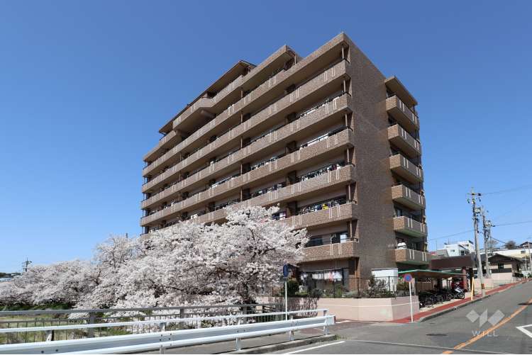 サンピボット瀬戸