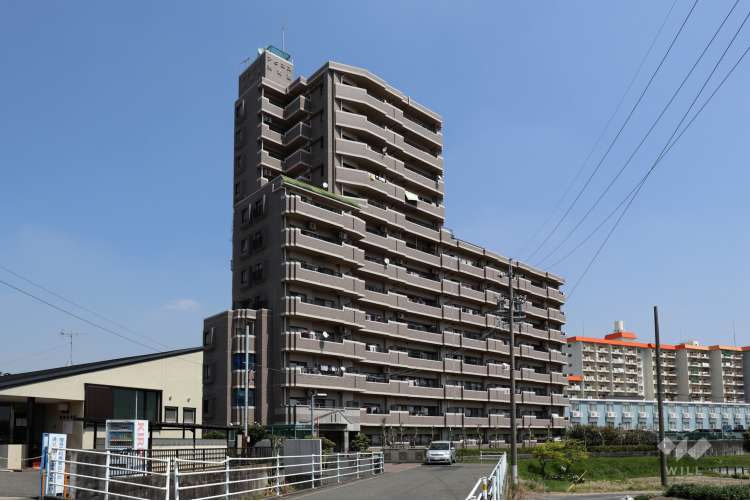 アピエス共和西