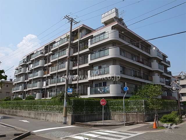 ジークレフ立花