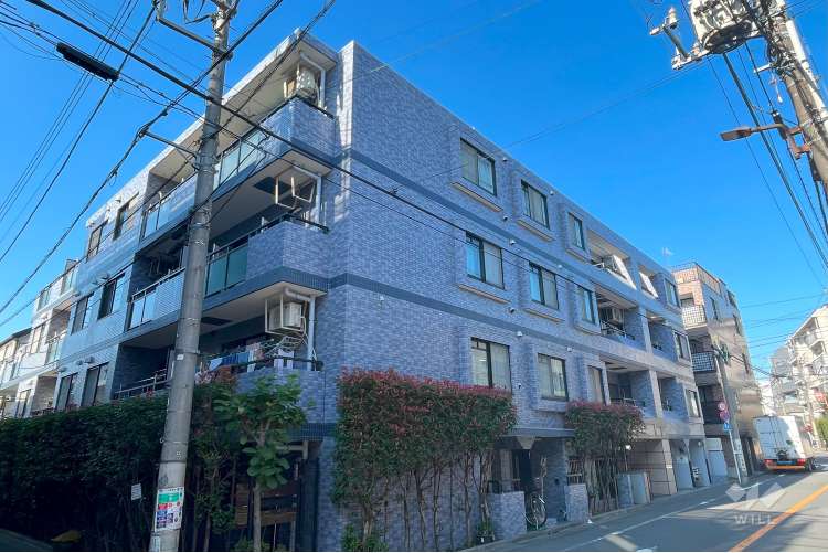 セザール碑文谷