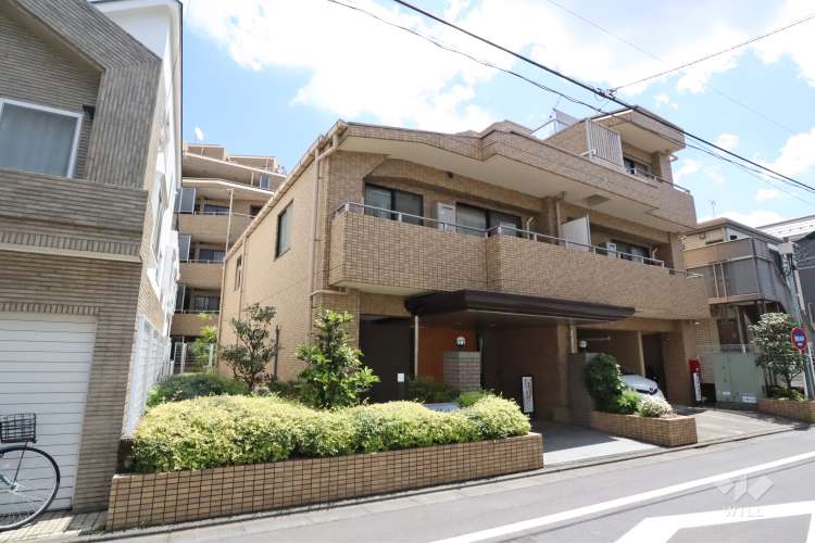 ソフィア学芸大学