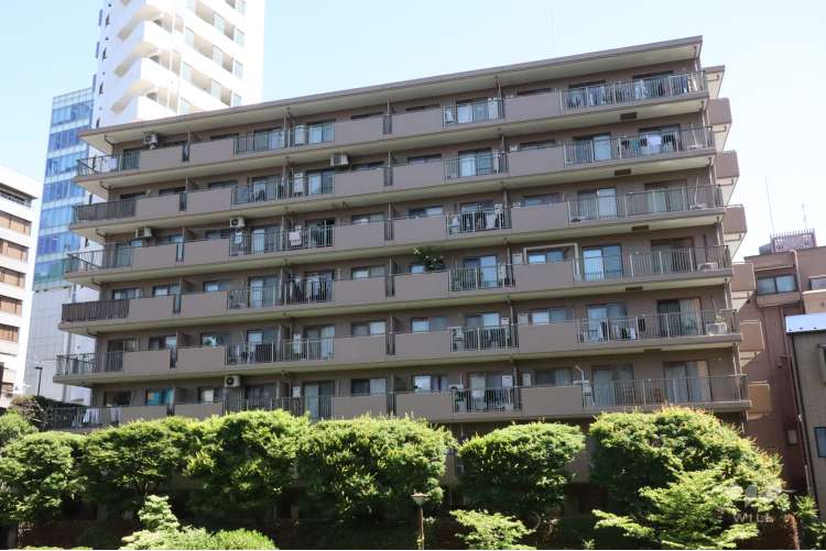 ドエルアルス目黒