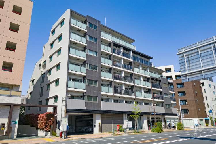 フェニシア学芸大学