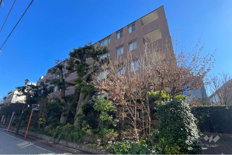 ライオンズガーデン四谷津の守坂