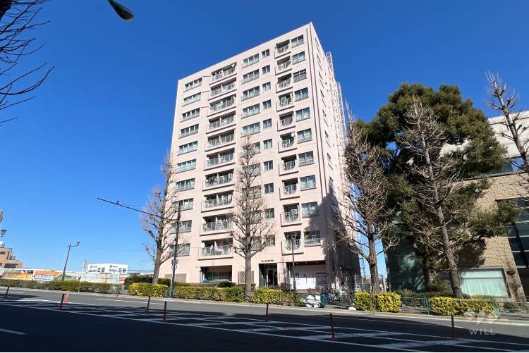 エントピア第3荻窪