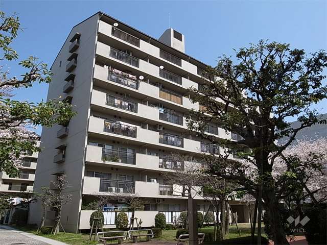 栄南団地 3号棟