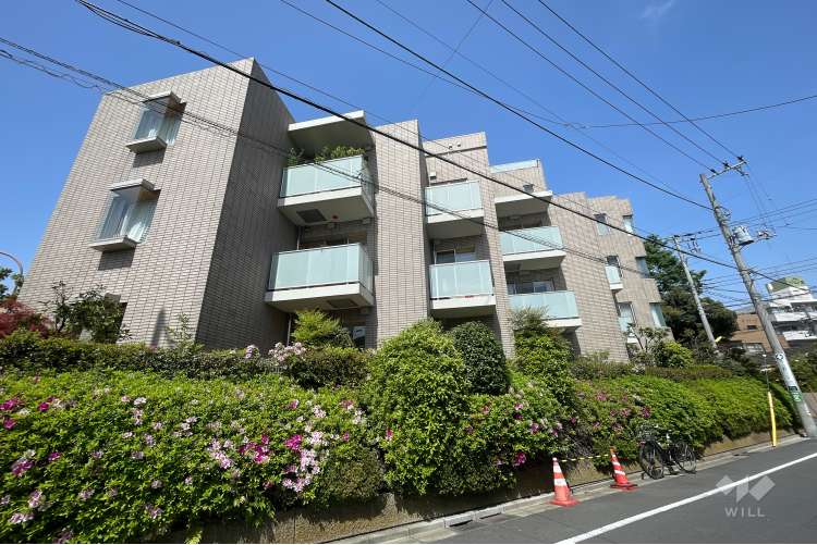 等々力グランドヒルズ