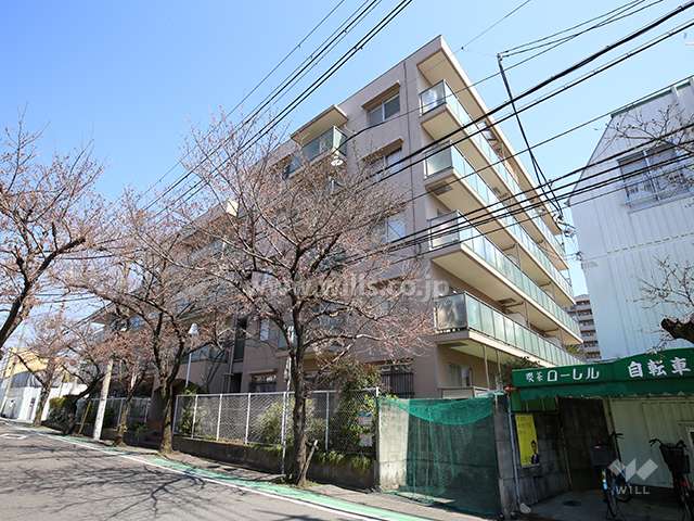 パラツィーナセシリア仁川