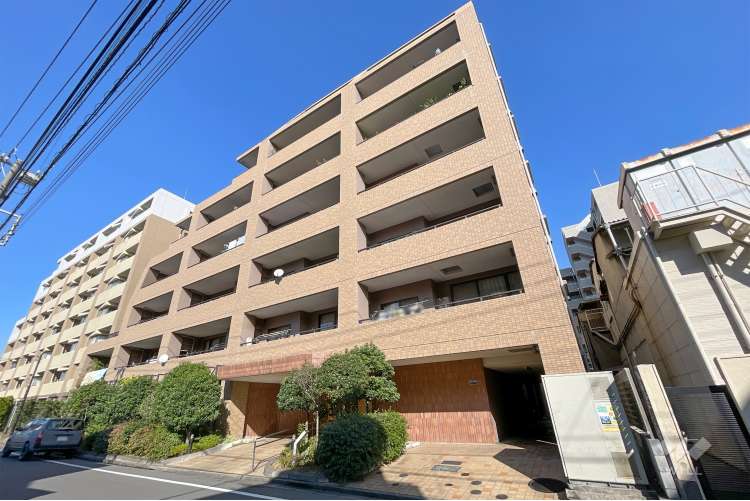 セザール仲池上