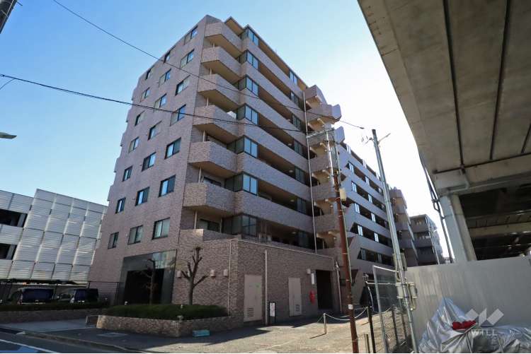 ルピナス多摩川