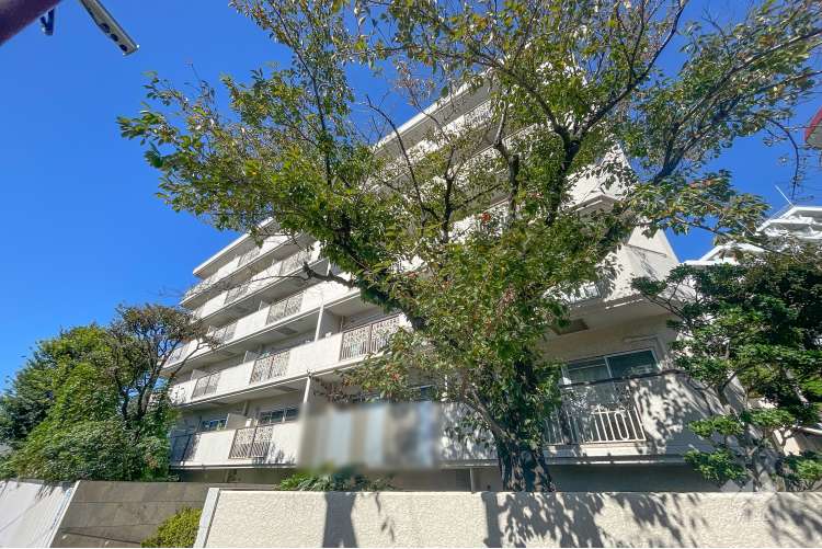 ハイホーム田園調布