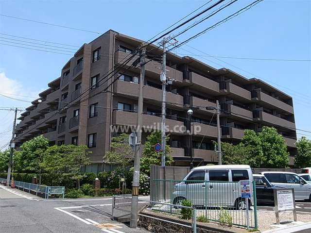 ステイツ上甲子園ゆりのき通り