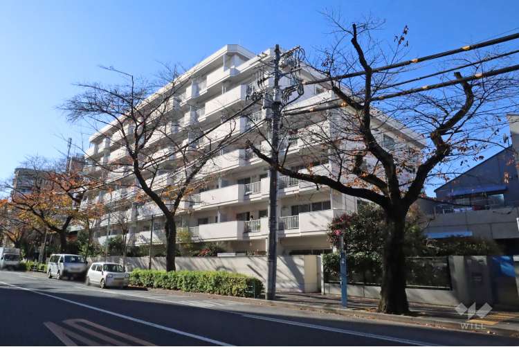 パシフィックニュー中野