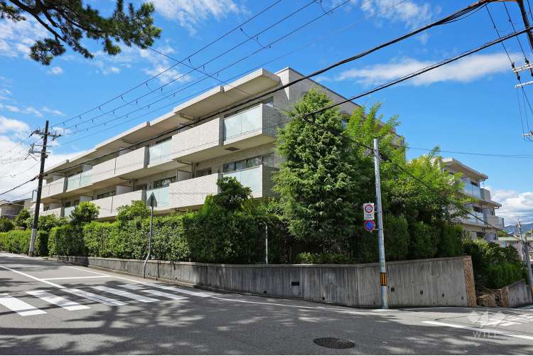 パーク・ハイム上甲東園くすのき通り