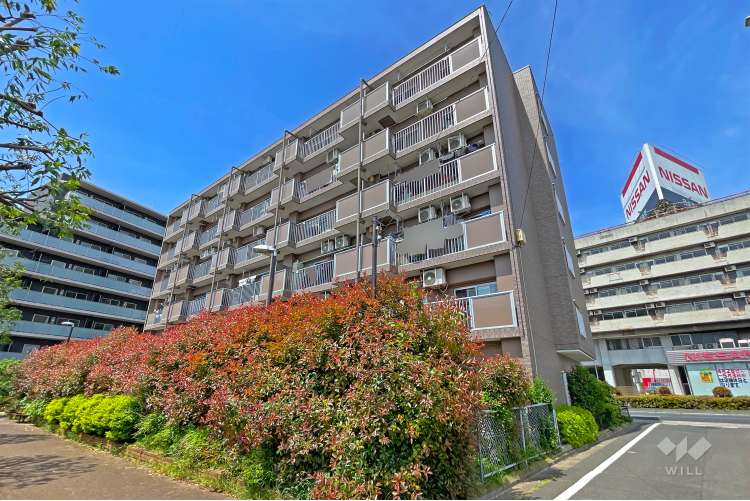 コープ野村練馬錦
