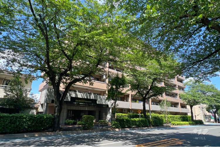 ライオンズヴィアーレ練馬春日町
