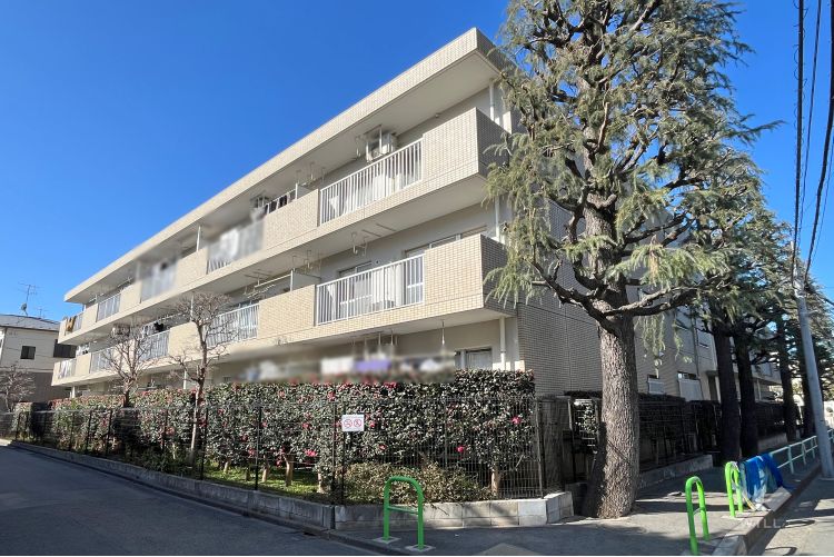 コープ野村練馬氷川台