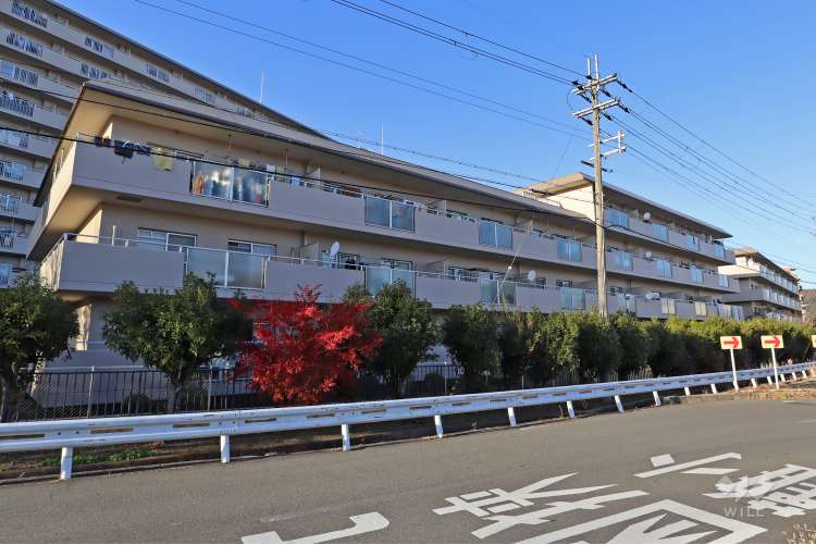 シャルマンコーポ水無瀬4号棟