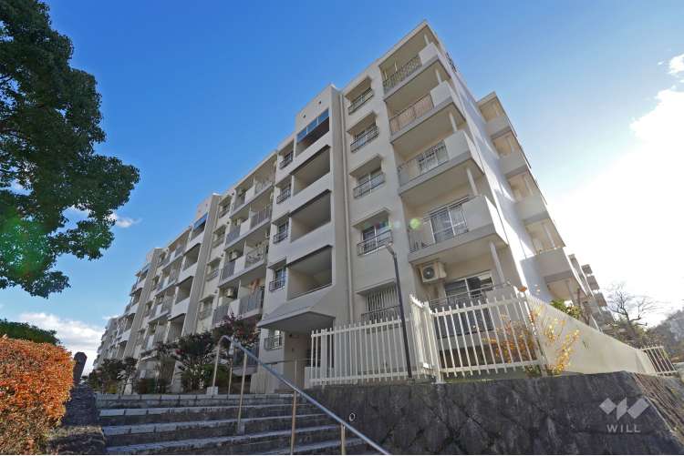 若山台第3住宅13号棟