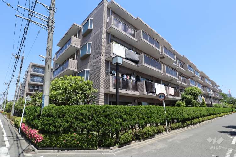 レシオン武蔵小杉C棟