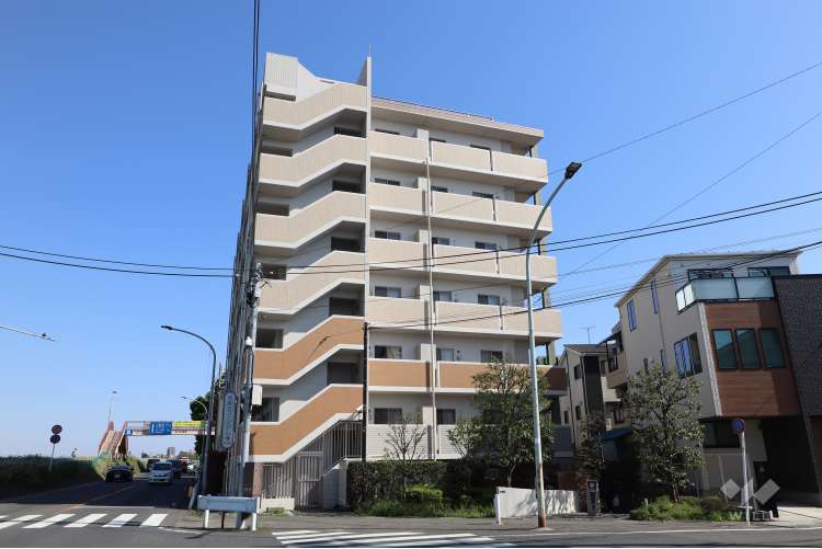 パテラ等々力緑地