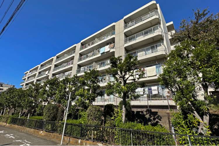 第2ウインザーハイム鷺沼