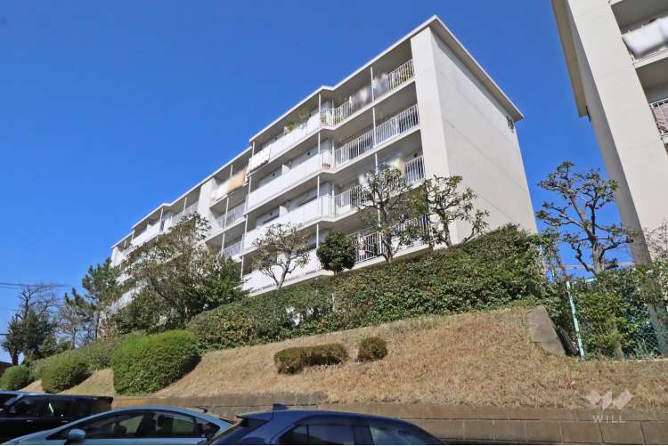 向ヶ丘遊園センチュリータウン13号棟