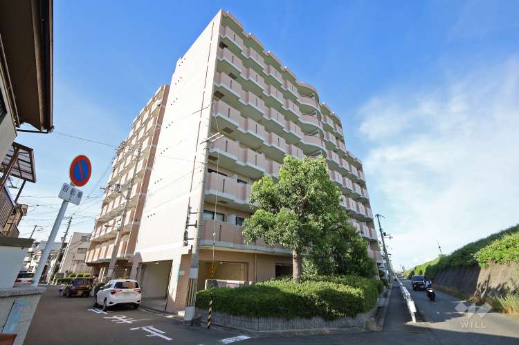 ラ・パルフェ・ド・パラツィーナ