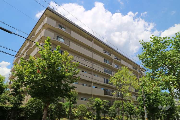 OTCセントラルハイツ