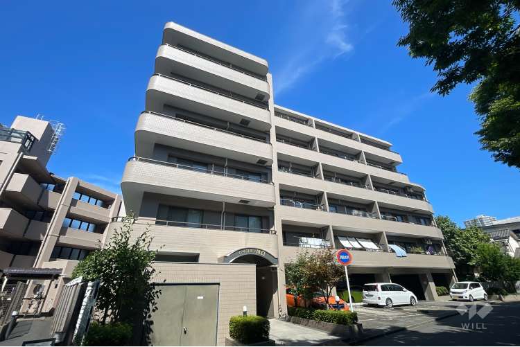 ハイシティ川口